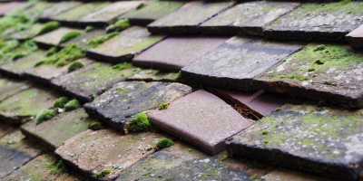 Abbots Ripton roof repair costs